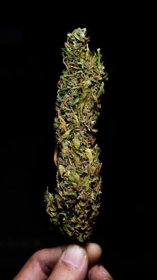 Pre-rolls